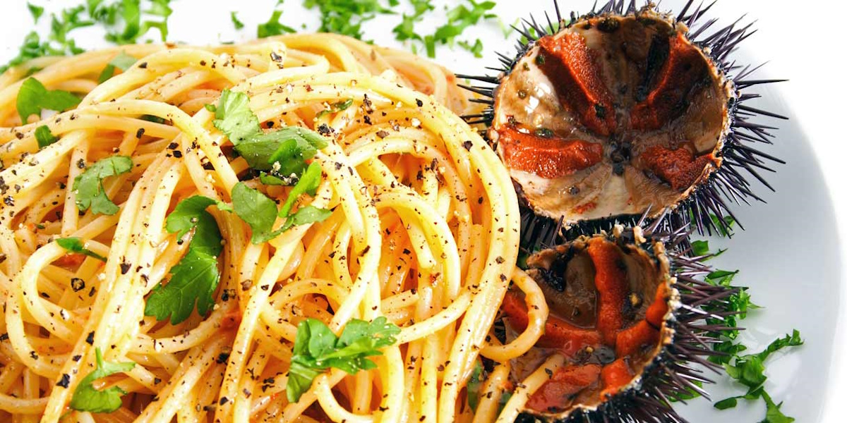 Linguine mit Seeigeln